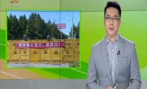 帮忙