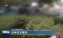 天下夜航
