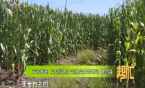 帮忙
