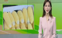 帮忙