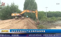 共度晨光