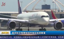 共度晨光