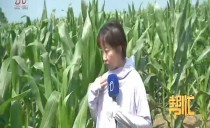 帮忙