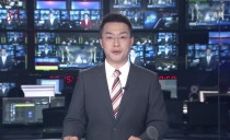 共度晨光