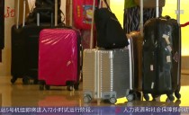 共度晨光