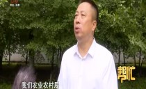 帮忙