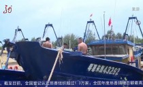 共度晨光