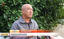 共度晨光