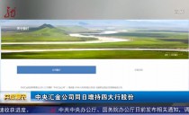 共度晨光