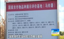 三农直播间