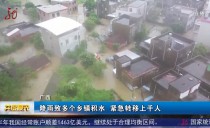 共度晨光