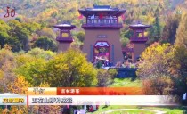共度晨光