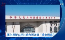 共度晨光