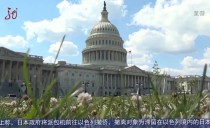 共度晨光