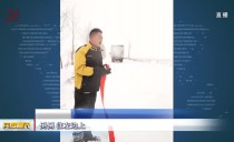共度晨光