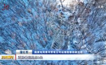 共度晨光