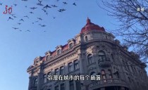 共度晨光
