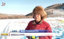 共度晨光