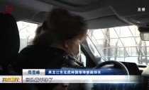共度晨光