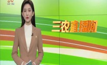 三农直播间
