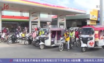 共度晨光