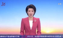 共度晨光