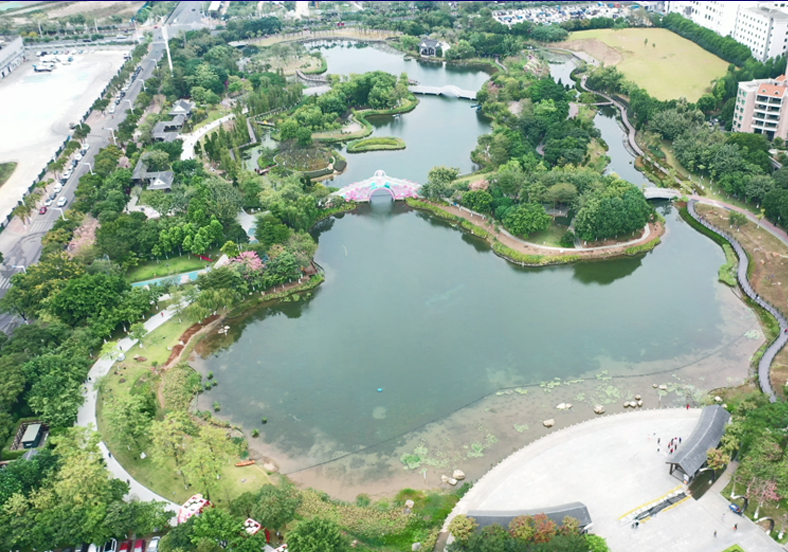 佛山市映月湖公园水体生态修复项目